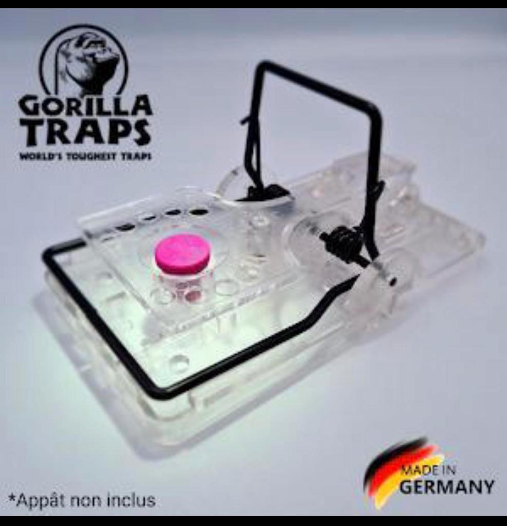 Piège à rat transparent - Gorilla Trap Attractif Sans attractif