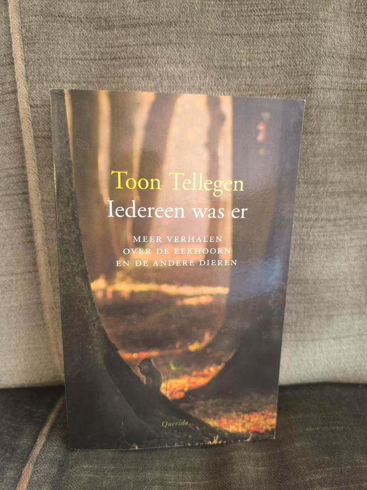 Iedereen was er.       (Toon Tellegen), Boeken, Literatuur, Zo goed als nieuw, Nederland, Ophalen