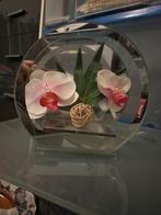 Décoration maison fleur orchidée., Ophalen, Zo goed als nieuw