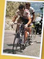 Wielerkaart 1981 tour de france bernard hinault signe, Verzenden
