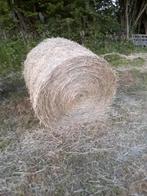 Balle ronde de foin, Articles professionnels, Agriculture | Aliments pour bétail, Enlèvement