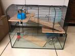 Kleine glazen hamsterkooi met extra toebehoren, Ophalen