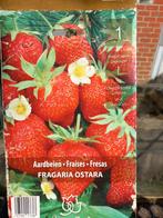 plants de fraisier, Ophalen