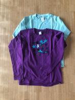 2 t-shirts - ideaal als ski-outfit (maat 164), Ophalen of Verzenden, Zo goed als nieuw, Meisje, Shirt of Longsleeve