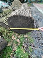 Boomstammen inlandse eik, 3 à 6 m³, Enlèvement, Chêne, Troncs d'arbres
