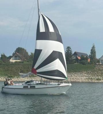 Spinaker voor 22-25voet zeilschip beschikbaar voor biedingen