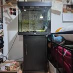 Aquarium en kastje, Ophalen, Zo goed als nieuw, Leeg aquarium