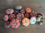 gehaakte paddenstoelen en pompoenen. Verschillende prijzen., Ophalen