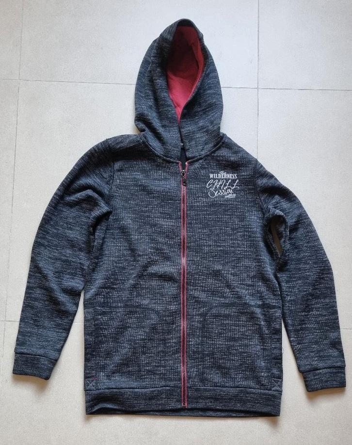 Hoodie gevoerd met fleece 170/176, Kinderen en Baby's, Kinderkleding | Maat 170, Gebruikt, Jongen, Trui of Vest, Ophalen of Verzenden