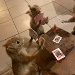 Taxidermie eekhoorns, Verzamelen, Ophalen, Gebruikt, Overige soorten, Opgezet dier