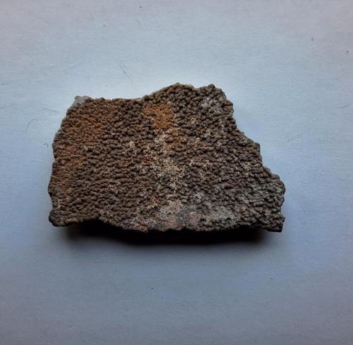 Dinosaurus ei-schaal Frankrijk, Verzamelen, Mineralen en Fossielen, Fossiel, Ophalen of Verzenden
