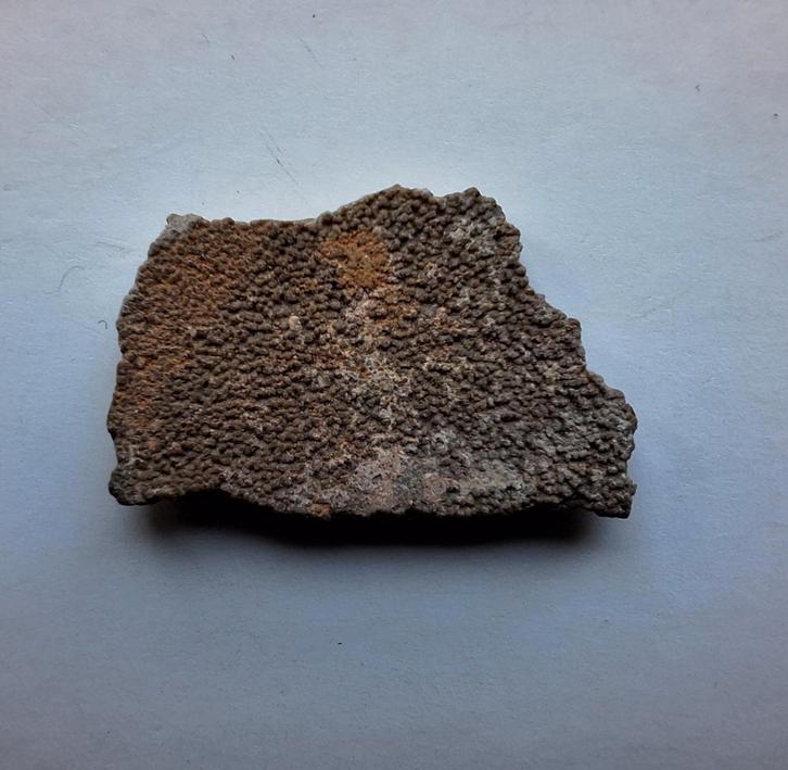 Dinosaurus ei-schaal Frankrijk, Verzamelen, Mineralen en Fossielen, Fossiel, Ophalen of Verzenden