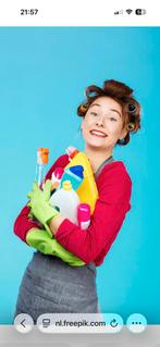 Ik zoek poetswerk, Vacatures