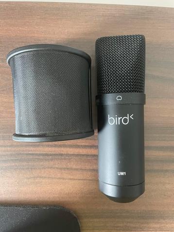 Bird UM1 Noir - Microphone USB disponible aux enchères