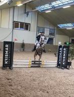 Pony en paard te lease in borgloon, Ophalen
