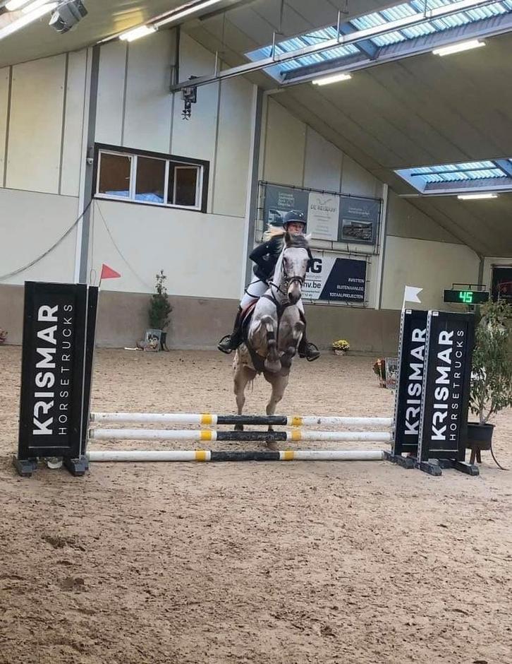 Pony en paard te lease in borgloon, Hobby en Vrije tijd, Overige Hobby en Vrije tijd, Ophalen