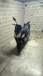 Scooter sym jet 14 neuf, Fietsen en Brommers, Scooters | SYM, Ophalen of Verzenden, Nieuw