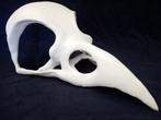 Crâne de corbeau géant, Verzamelen, Dierenverzamelingen, Ophalen, Nieuw, Vogel, Schedel