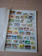 Postzegels kikkers, Ophalen