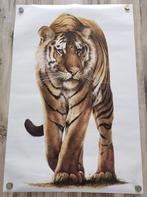 Poster "Prowling tiger (Tigre du Bengale)" - ATHENA (1984), Dier of Natuur, Gebruikt, Ophalen of Verzenden, A1 t/m A3