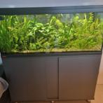 Eheim 240l, Ophalen of Verzenden