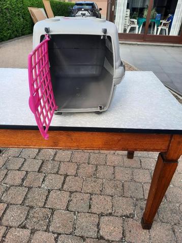 kattentransportbox beschikbaar voor biedingen