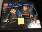 Lego - Harry Potter & Hermelien Griffel (76393), Ophalen of Verzenden, Nieuw, Complete set, Lego