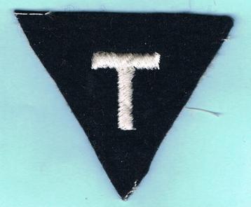 Belgian Air Force Sleeve Insignia ( A45 ) beschikbaar voor biedingen