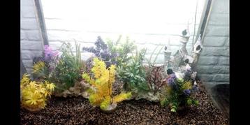Aquarium plantjes (8x) en kasteel 