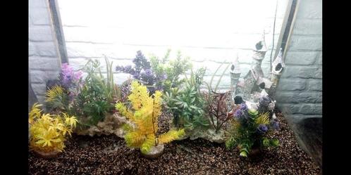 Aquarium plantjes (8x) en kasteel, Dieren en Toebehoren, Vissen | Aquaria en Toebehoren, Zo goed als nieuw, Ophalen of Verzenden