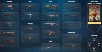 EUW Valorant Account (Immo3 peak 270rr, 40 skins, asc3 MMR) beschikbaar voor biedingen