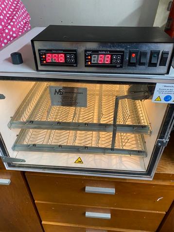 MS100 broedmachine volautomatisch  beschikbaar voor biedingen