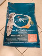 Nourriture chat, Enlèvement, Chat