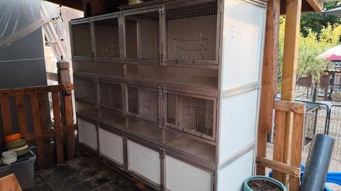 Cavia flat - flat voor knaagdieren - cavia hokken, Dieren en Toebehoren, Knaagdieren en Konijnen | Hokken en Kooien, Hok, Cavia