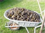 Crottins de Cheval, Tuin en Terras, Aarde en Mest, Ophalen, Kunstmest