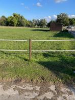 WEIDE TE HUUR, Dieren en Toebehoren, Weidegang, 1 paard of pony