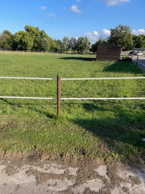 WEIDE TE HUUR, Dieren en Toebehoren, Stalling en Weidegang, Stalling, Weidegang, 1 paard of pony