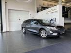 Ford Focus CLIPPER BUSINESS EDITION BENZINE GPS (bj 2019), Auto's, Stof, Gebruikt, https://public.car-pass.be/vhr/74c69f00-48f0-40c4-ab18-3de17b06428d
