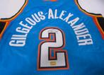Gehandtekend shirt ALEXANDER mvp nba met certificate, Ophalen of Verzenden