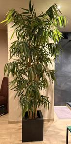 Kunstboom bamboeboom 2,40m, Enlèvement, Utilisé