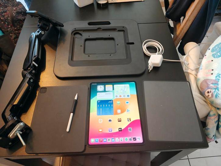 Ipad pro m4 13 inch 2024 256gb +skechboard pro +mount +...., Computers en Software, Apple iPads, Zo goed als nieuw, Apple iPad Pro