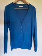 Blauwe gilet Lola & Liza maat L, Maat 42/44 (L), Ophalen of Verzenden, Gedragen, Blauw