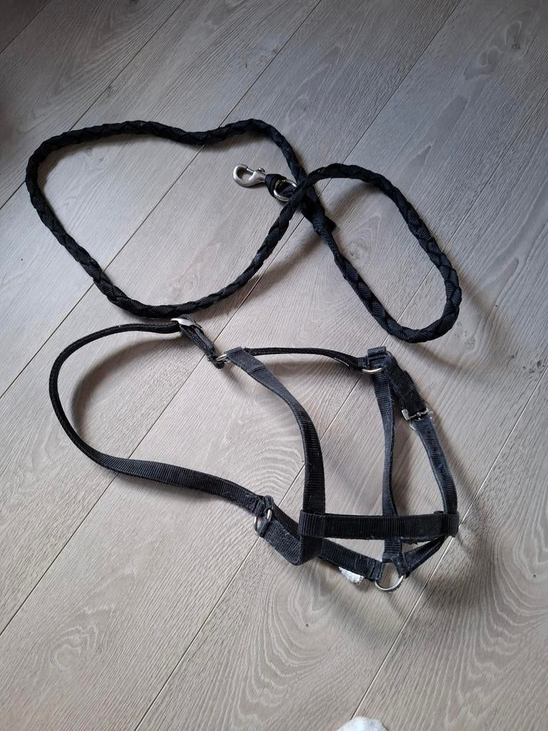 Licol et corde noir bonne état et propre, Animaux & Accessoires, Enlèvement ou Envoi