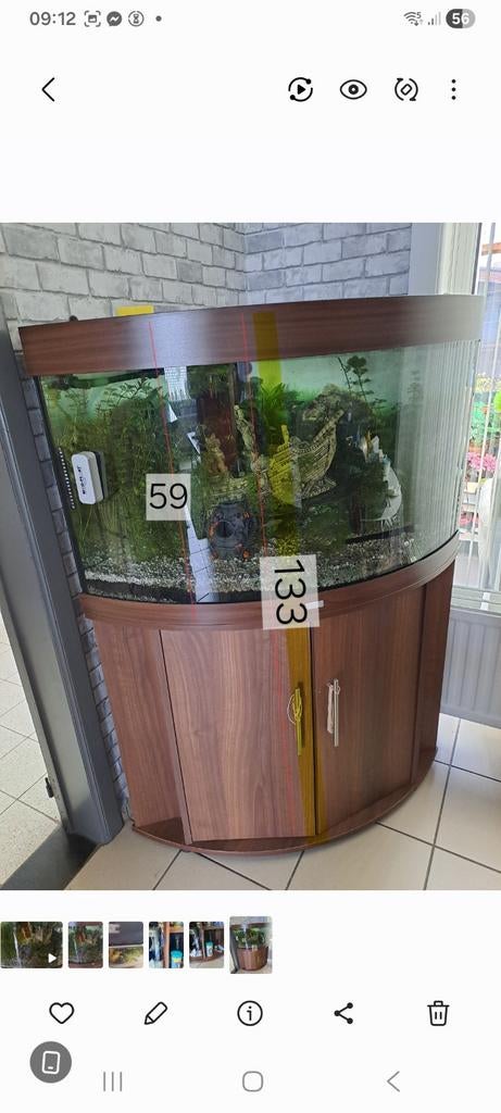 Aquarium juwel, Ophalen, Zo goed als nieuw, Leeg aquarium, Juwel