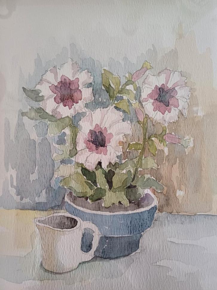 AQUARELLEN M.VAN DEN BEMPT   30x20 met kadertje, Antiquités & Art, Art | Dessins & Photographie, Enlèvement ou Envoi