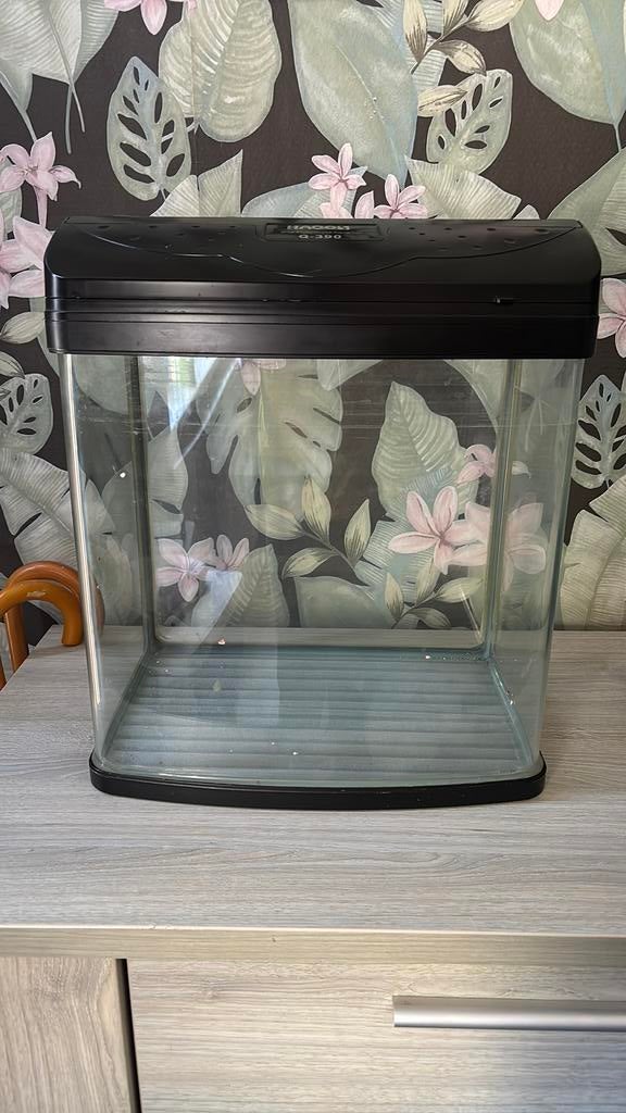 Aquarium, Dieren en Toebehoren, Ophalen, Gebruikt