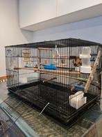 Jolie cage à oiseaux volière, Animaux & Accessoires, Cage à oiseaux