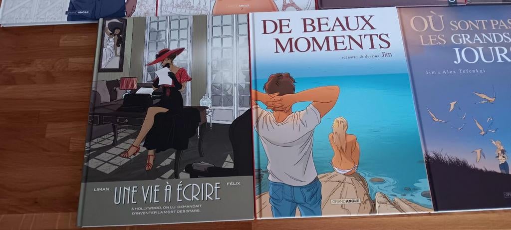 BD Dessinateur Jim, Enlèvement