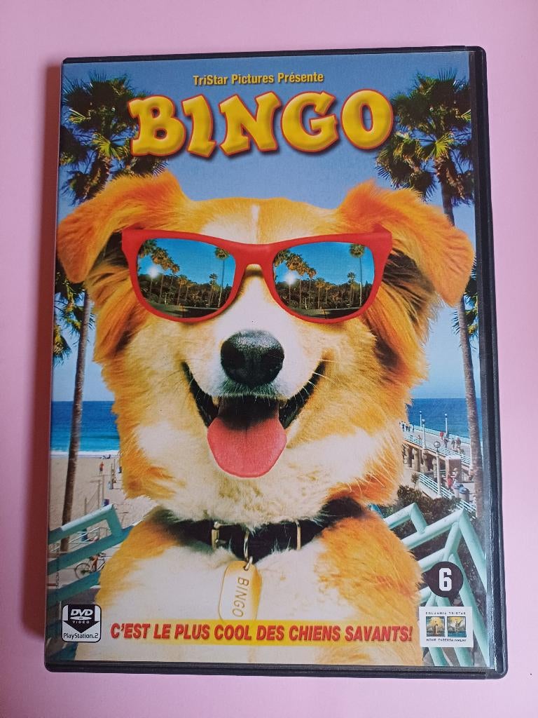 dvd bingo le plus cool des chiens savants, CD & DVD, DVD | Comédie, Comme neuf, Enlèvement ou Envoi