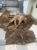 Brandhout, Tuin en Terras, Brandhout, 6 m³ of meer, Ophalen, Eikenhout, Stammen